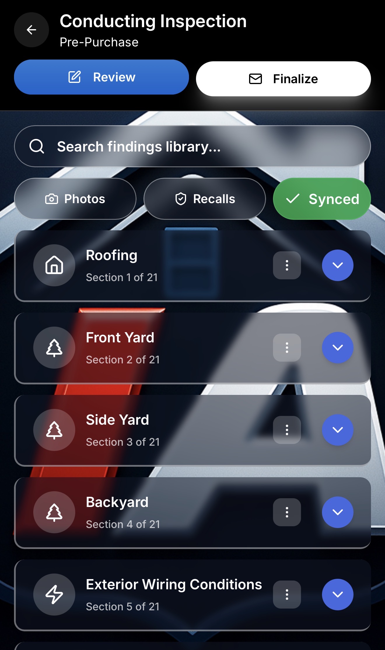 Inspection Authority Software conducting inspection screen